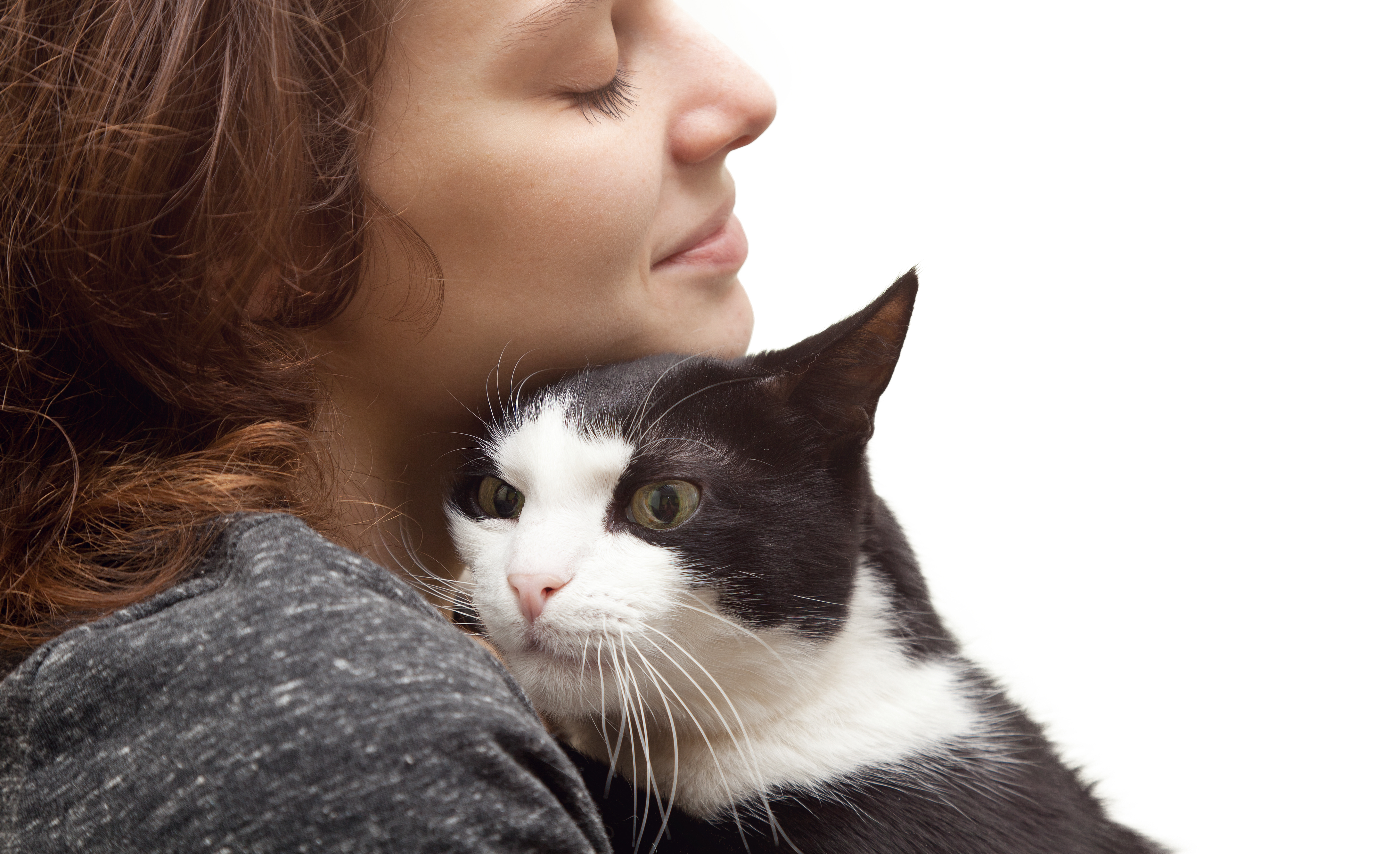 Grief and Healing Resources from Family Animal Services of Portland